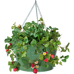 Lush greenery and vibrant faux strawberries drape elegantly from a circular hanging planter, creating a charming focal point for indoor or outdoor spaces.