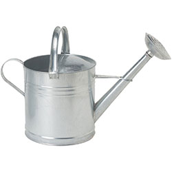 Vintage metal watering can with a classic design, featuring two handles and a long spout, perfect for nurturing plants and gardens. Ideal for gardening enthusiasts and home decor.